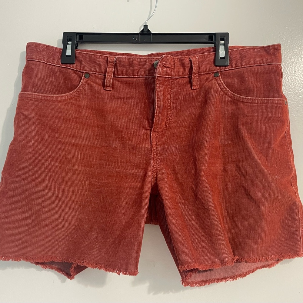 Carve Designs Women’s Shorts size Large 5”